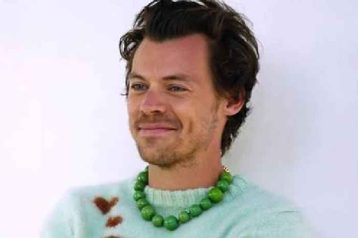 Harry Styles latest celebrity to read bedtime story for CBeebies